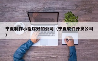泽州宁夏制作小程序好的公司（宁夏软件开发公司）